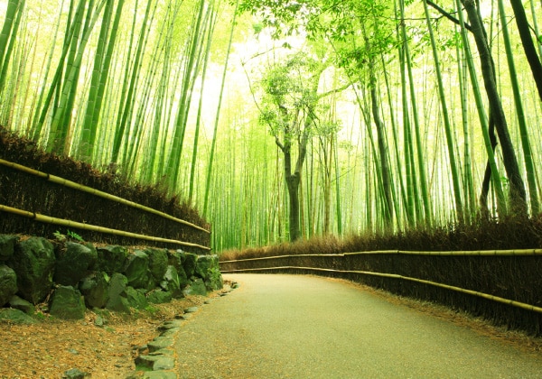 京都府