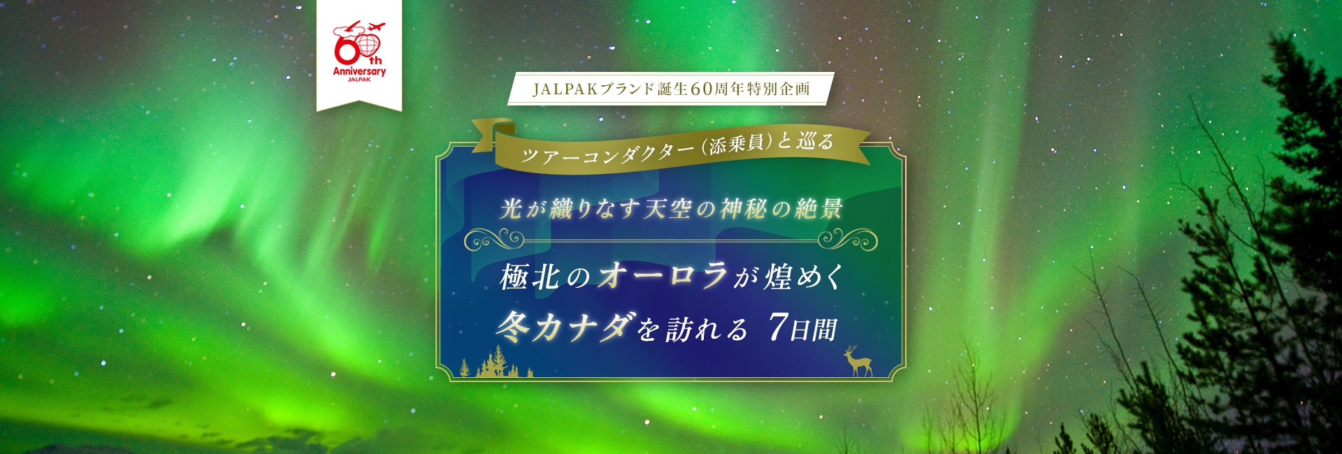 JALPAKブランド誕生60周年特別企画 ツアーコンダクター（添乗員）と巡る 光が織りなす天空の神秘の絶景 極北のオーロラが煌めく 冬カナダを訪れる 7日間