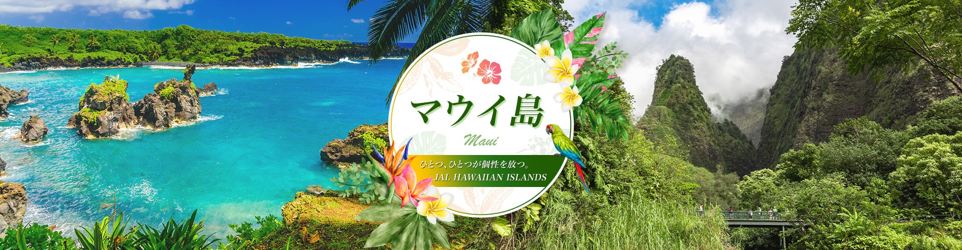 マウイ島 ひとつ、ひとつが個性を放つ。JAL HAWAHAN ISLANDS