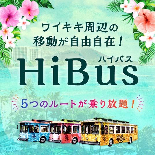 Hibus