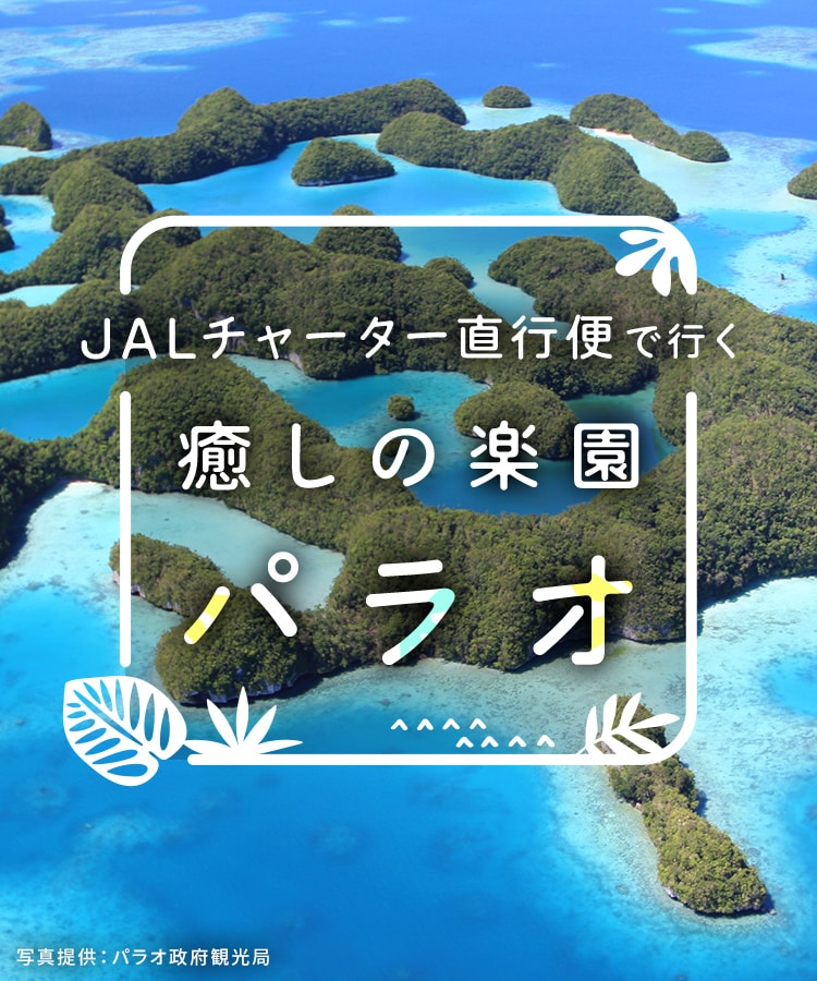 JALチャーター直行便で行く 癒しの楽園 パラオ