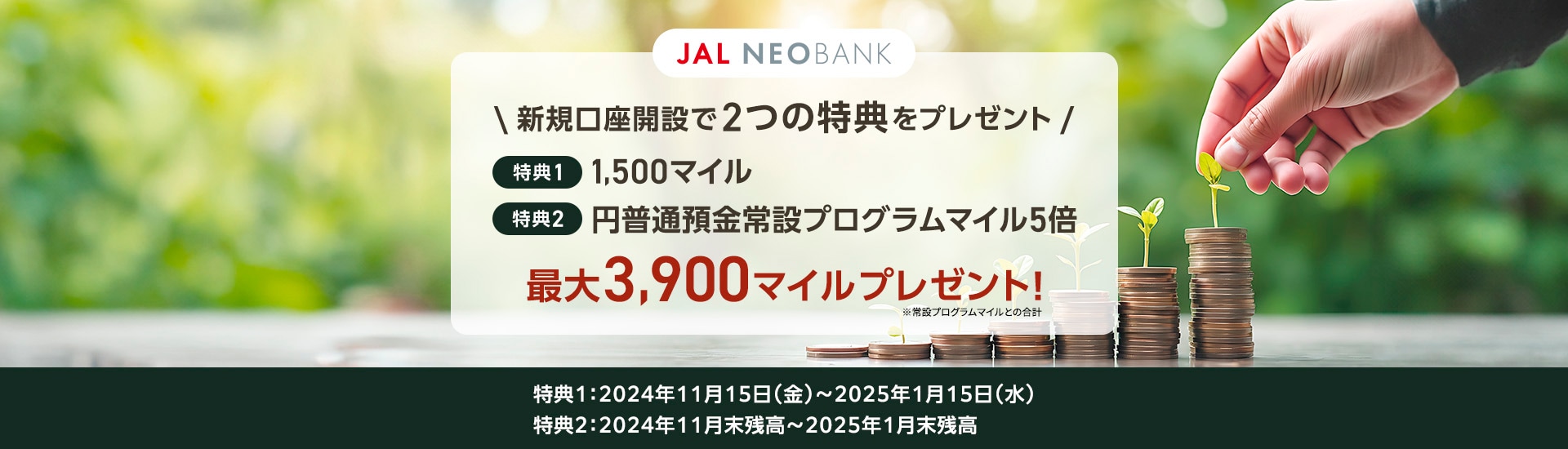 JAL NEOBANK新規口座開設者限定 円普通預金常設プログラム5倍マイルキャンペーン 最大2,400マイルプレゼント キャンペーン期間2024年11月末残高から2025年1月末残高