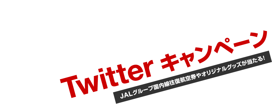 JALスポーツクライミング 応援Twitterキャンペーン 応募期間：2018年6月1日（金）〜6月14日(木)まで JALグループ国内線往復航空券やオリジナルグッズが当たる！