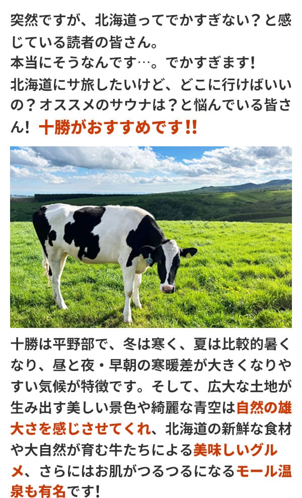 突然ですが、北海道ってでかすぎない？と感じている読者の皆さん。本当にそうなんです…。でかすぎます！ 北海道にサ旅したいけど、どこに行けばいいの？オススメのサウナは？と悩んでいる皆さん！ 十勝がおすすめです！！