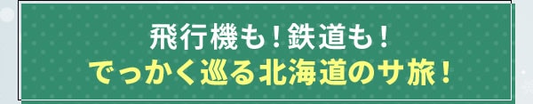 飛行機も！鉄道も！でっかく巡る北海道のサ旅！