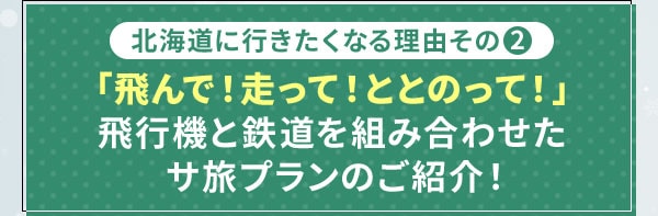 北海道に行きたくなる理由その2 「飛んで！走って！ととのって！」飛行機と鉄道を組み合わせたサ旅プランのご紹介！