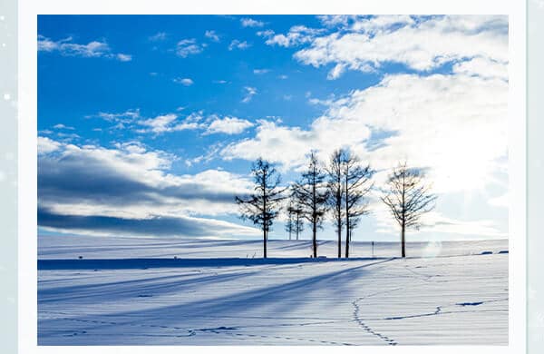 イメージ：雪風景