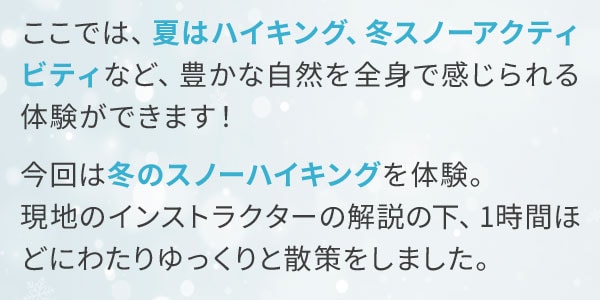 ここでは、夏はハイキング、冬スノーアクティビティなど、豊かな自然を全身で感じられる体験ができます！今回は冬のスノーハイキングを体験。現地のインストラクターの解説の下、1時間ほどにわたりゆっくりと散策をしました。