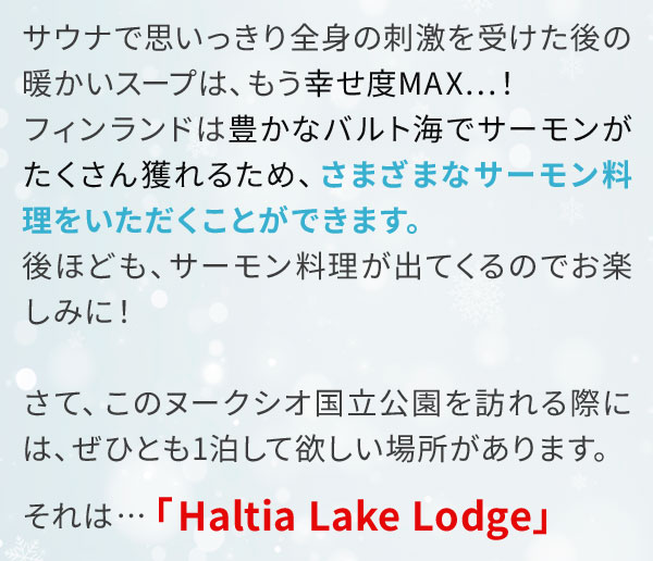 サウナで思いっきり全身の刺激を受けた後の暖かいスープは、もう幸せ度MAX…！フィンランドは豊かなバルト海でサーモンがたくさん獲れるため、さまざまなサーモン料理をいただくことができます。後ほども、サーモン料理が出てくるのでお楽しみに！さて、このヌークシオ国立公園を訪れる際には、ぜひとも1泊して欲しい場所があります。それは…「Haltia Lake Lodge」