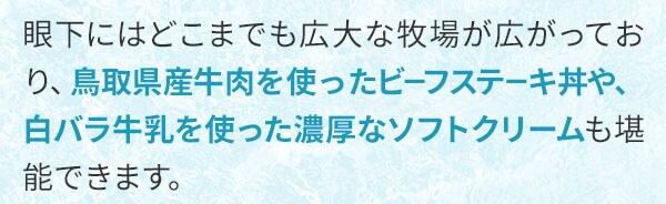 眼下にはどこまでも広大な牧場が広がっており、鳥取県産牛肉を使ったビーフステーキ丼や、白バラ牛乳を使った濃厚なソフトクリームも堪能できます。