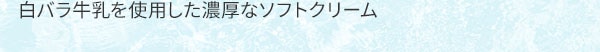 白バラ牛乳を使用した濃厚なソフトクリーム