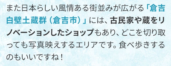 また日本らしい風情ある街並みが広がる「倉吉白壁土蔵群（倉吉市）」には、古民家や蔵をリノベーションしたショップもあり、どこを切り取っても写真映えするエリアです。食べ歩きするのもいいですね！
