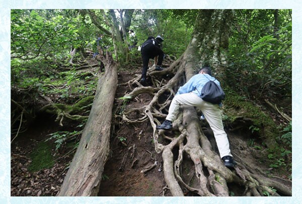 「三徳山」の投入堂参拝登山