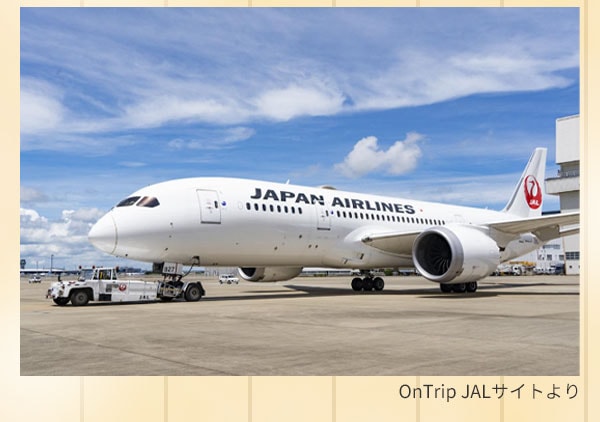 飛行機 OnTrip JALサイトより